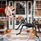 Halloween Decorations Outdoor Spider Webs: 1Pcs Giant Spiders - 200'' Triangular Web with Hook - Stretch Web and Ground Stakes for Large Halloween Decor and Haunted House Decoration